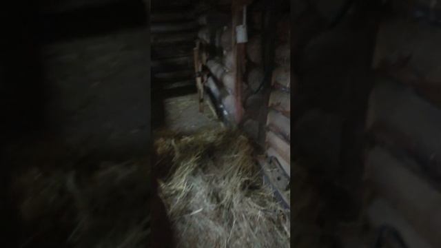 Коровник 2 года спустя смотреть онлайн