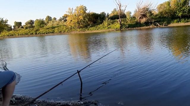АСТРАХАНЬ! РЫБАЛКА ДЛЯ ДУШИ! ПОПЛАВОК!Часть2 смотреть онлайн