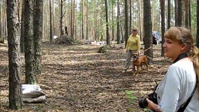 Бен_всё смотреть онлайн