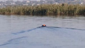 Карповый прикормочный кораблик?, дорогая игрушка или реальный помощник?