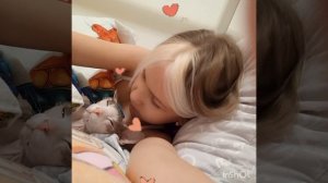 Моя кошка Татика #LOVE #shorts