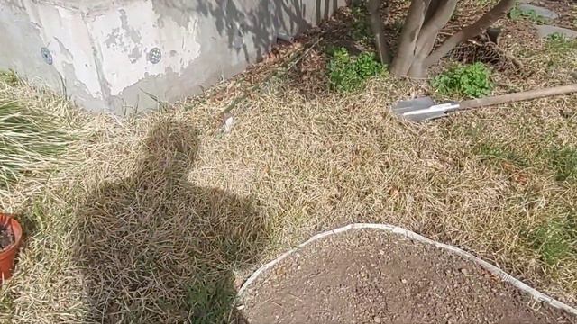 Замена гравия в японском саду смотреть онлайн