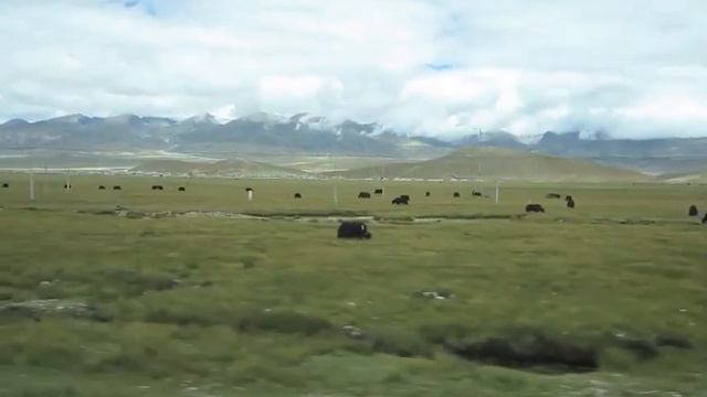 Tibet - Colour of the wind (青藏高原) смотреть онлайн
