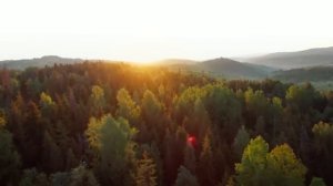 Успокаивающая музыка для нервов лечебная музыка для сердца и сосудов, релакс, музыка для души