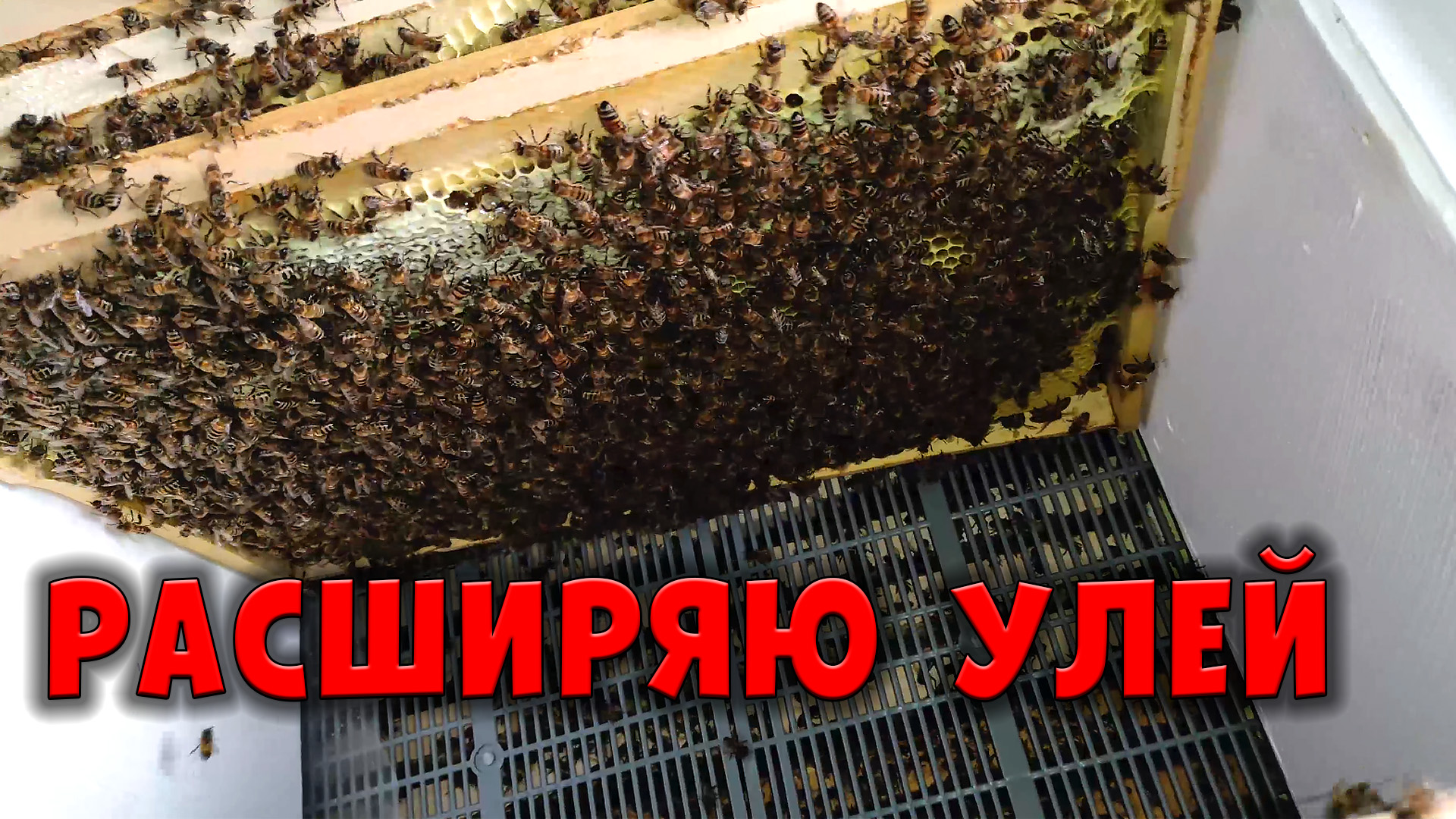 Второй корпус улья из Пеноплэкса смотреть онлайн