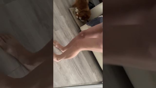 Квадрицепс смотреть онлайн