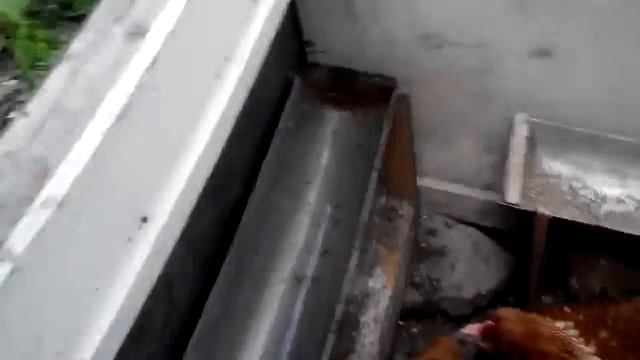 Курятник своими руками . смотреть онлайн