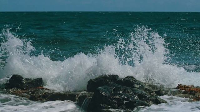 Shakespeare's Letter to the Earth (2021) | Shakespeare's Globe смотреть онлайн