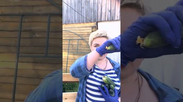 Как спасти клубнику ?от сорок и ворон. В этом видео вы узнаете безпооишрышный Лайфхак #marya_max #я смотреть онлайн