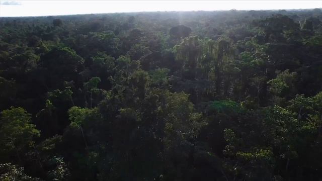 PASIVOS AMBIENTALES смотреть онлайн