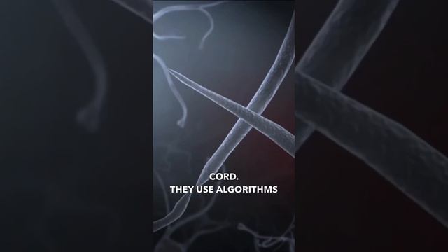 Paralyzed Man Walks Again With AI Assistance - Gert-Jan Oskam's Incredible Story смотреть онлайн