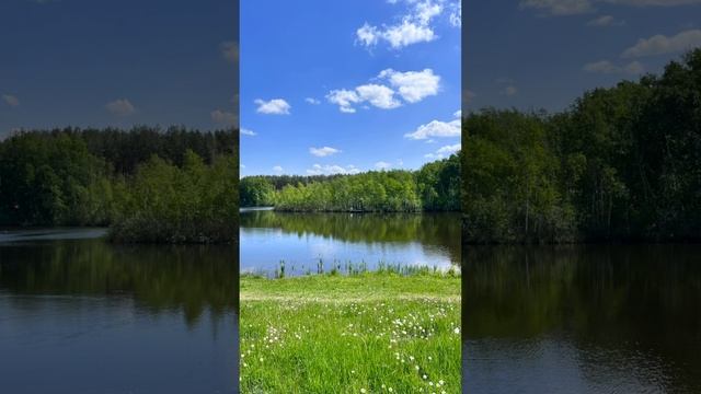 Медитация покоя и равновесия смотреть онлайн