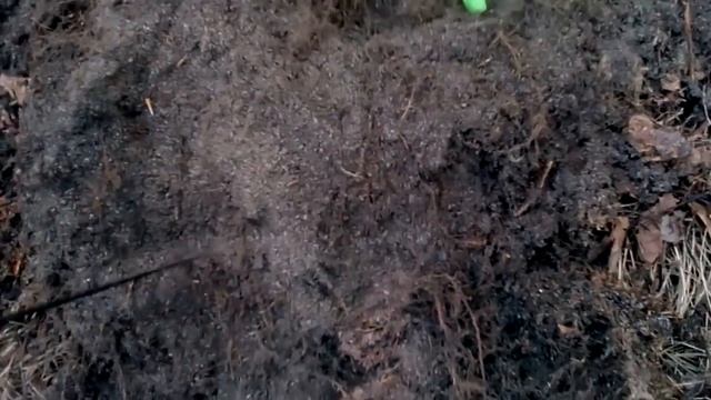 КЛАД 2018 ГОДА! В ПОИСКАХ КЛАДА И ЗОЛОТА ОТ ВИКЛИНГА! смотреть онлайн