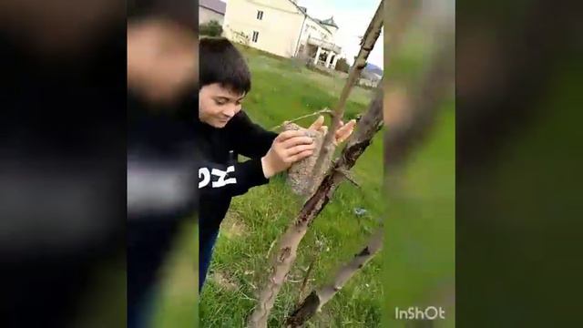 кто знает эту игру пишите в коменты смотреть онлайн