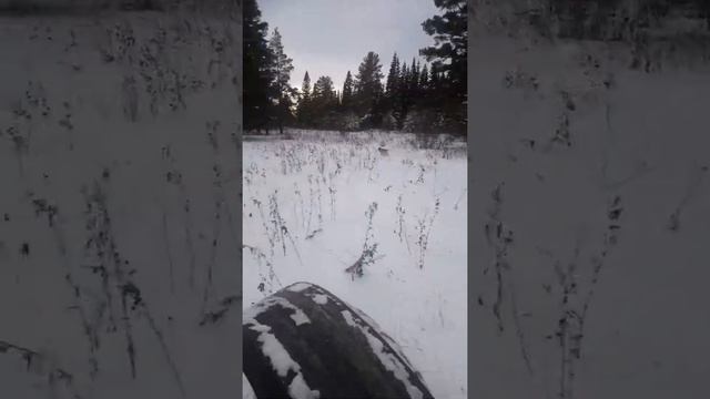 Каракат зис 5 по неглубокому снегу... смотреть онлайн