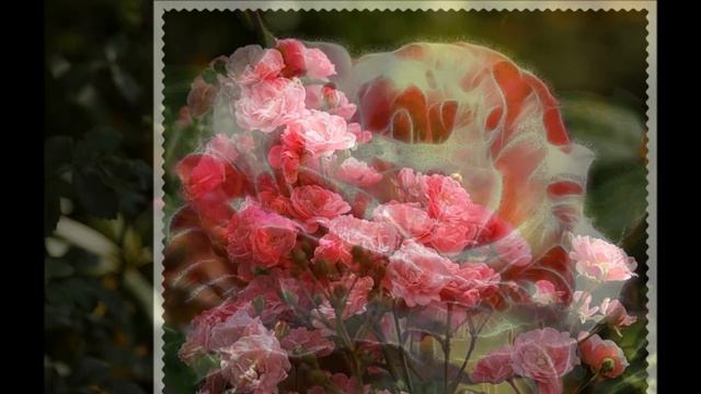 Острова любви. смотреть онлайн