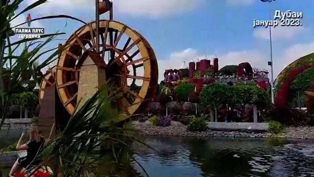 Dubai - januar 2023. Politikon TV Palma plus смотреть онлайн