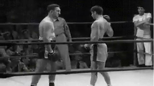 Боксер толль смотреть онлайн