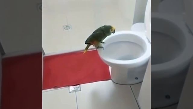 концерт по заявкам смотреть онлайн