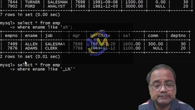 SQL Operators | IN | BETWEEN | LIKE OPERATORS | XI | XII | CS | IP | SQL SELECT STATEMENT| NITIN SI смотреть онлайн