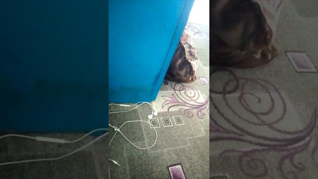 ой лубьмоя смотреть онлайн