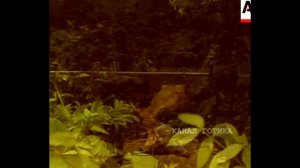 ЖУТКИЕ И МИСТИЧЕСКИЕ ОБОРОТНИ СНЯТЫЕ НА КАМЕРУ