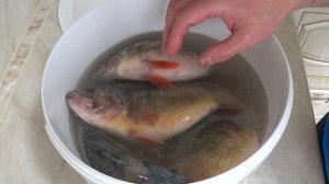 Окунь горячего копчения