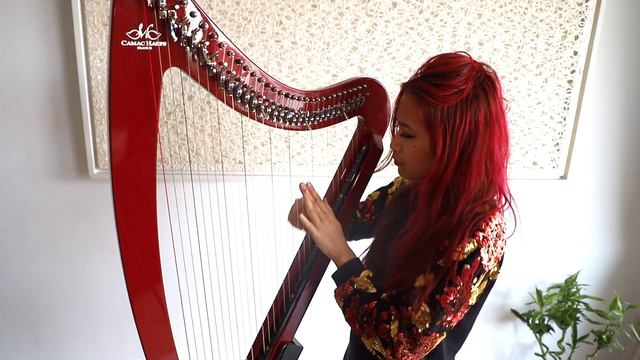 HeloiseLaHarpe - Electro Harp intro (Sublah & Azaleh - Maera) смотреть онлайн
