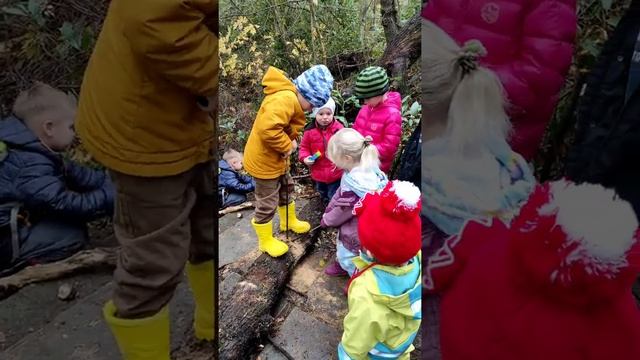 Урок труда в Лесном садике. Гуляем, играем, пилим)) смотреть онлайн