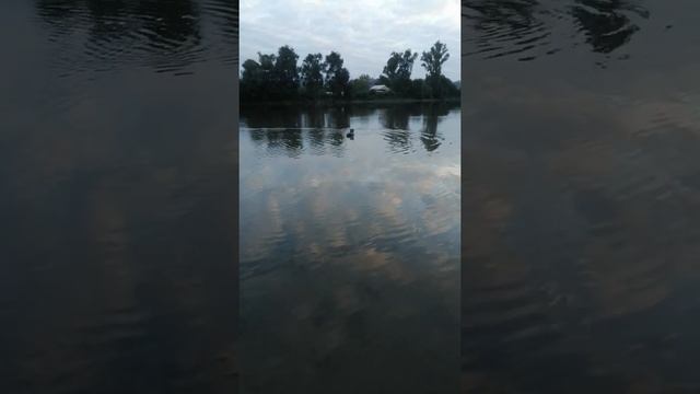 Радиоуправляемая лодка для рыбалки смотреть онлайн