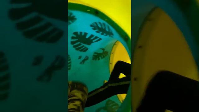 День рождение Софии 9.05.2021г смотреть онлайн