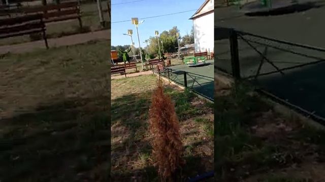 зелёный большой олень???.mp4 смотреть онлайн