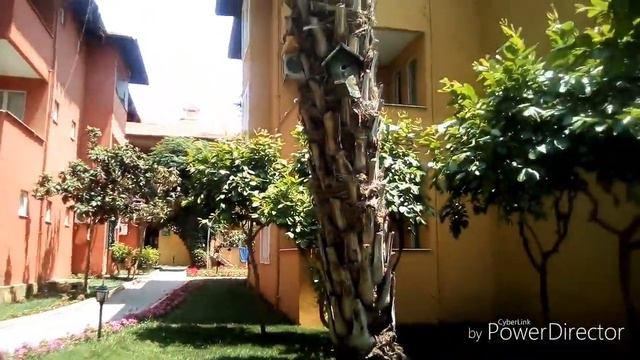 Влог 1 Турция Армас Грин фугла бич территория и номер в обзоре смотреть онлайн