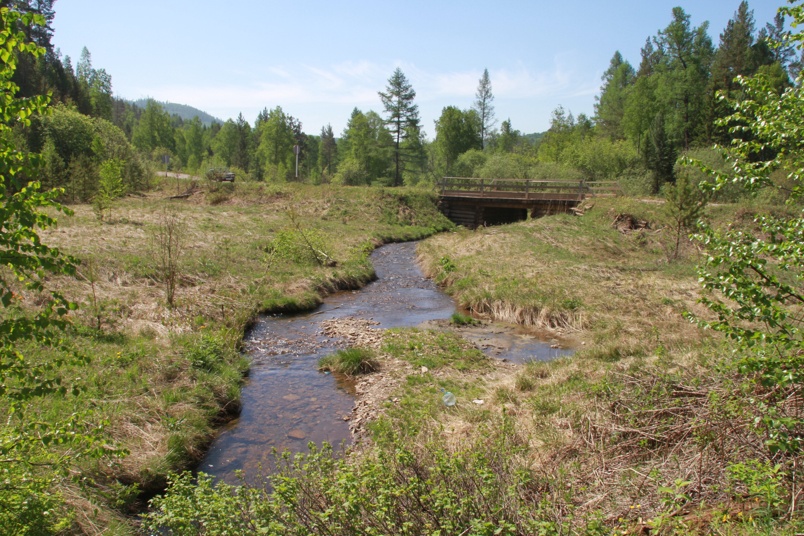 Ручей у дороги. Река Мана, Красноярский край. 10 июня 2012 г.