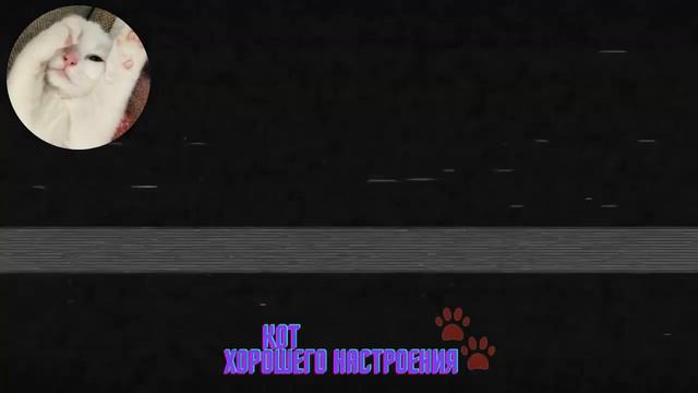 Коты разбойники, которые могут перевернуть весь дом смотреть онлайн