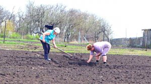 Посадите это в апреле обязательно! Что можно посадить на огороде в апреле?
