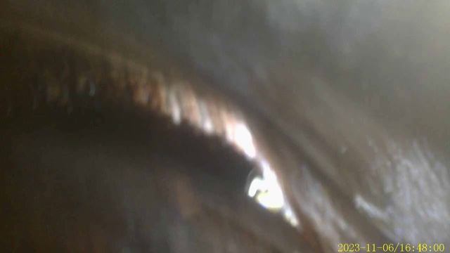 VID 20231106 164529 ДЭУ МАТИЗ 0 8 смотреть онлайн