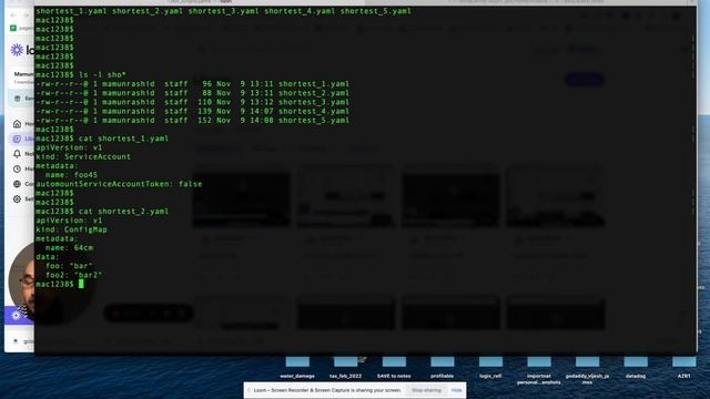 Kubernetes LAB 15: How to read and understand YAML files that create Kubernetes Resources смотреть онлайн