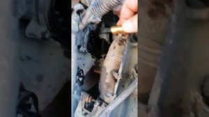 Какой температуры термостат (термоэлемент) фольцваген поло 1.6 2013 года.