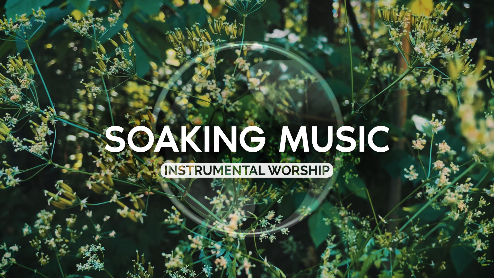 БОЖЬИ ОБЕЩАНИЯ ИСЦЕЛЕНИЯ • АТМОСФЕРНАЯ МУЗЫКА • ПРОПИТКА • 094 смотреть онлайн