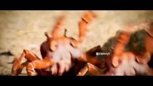 Roblox - танцующие крабики