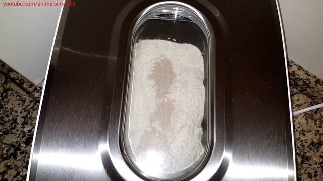 Silvercrest LIDL bread maker automatic machine SBB850E1 IAN314657: how to make water bread смотреть онлайн