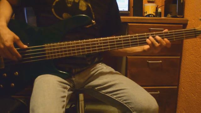 Enjambre - Maleable Cover Bass смотреть онлайн