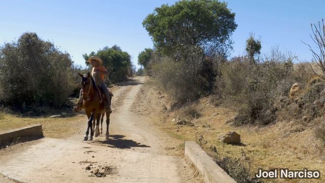 Himno Nacional Mexicano 