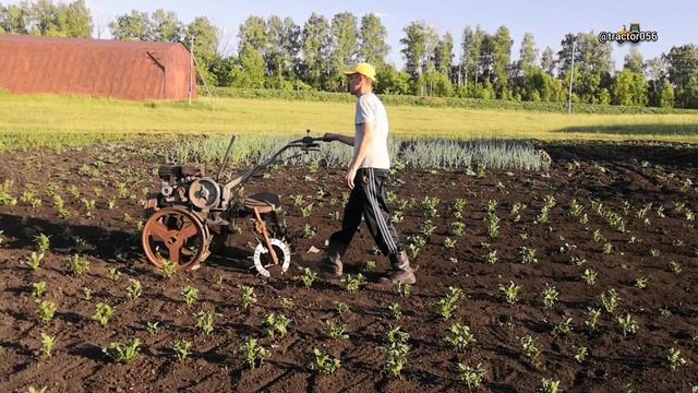 Работа в огороде!