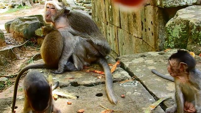 Adult baby really angry mum almost drop heart on earth, Why mum not give milk baby? Baby hungry смотреть онлайн