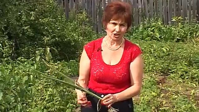 Летние садово огородные работы смотреть онлайн