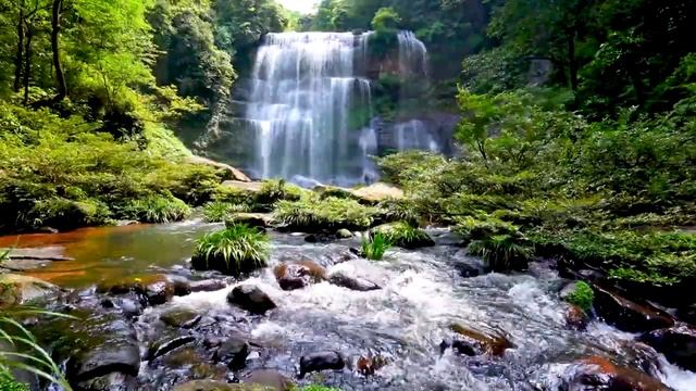 Cascade & Stream flowing in the Forest. Mountain Stream Nature Sounds for Sleep and Relaxation. смотреть онлайн