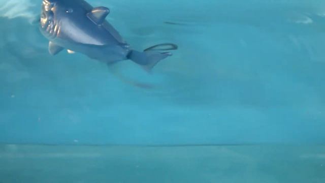 5553937 Водоплавающая игрушка «Акула», заводная смотреть онлайн