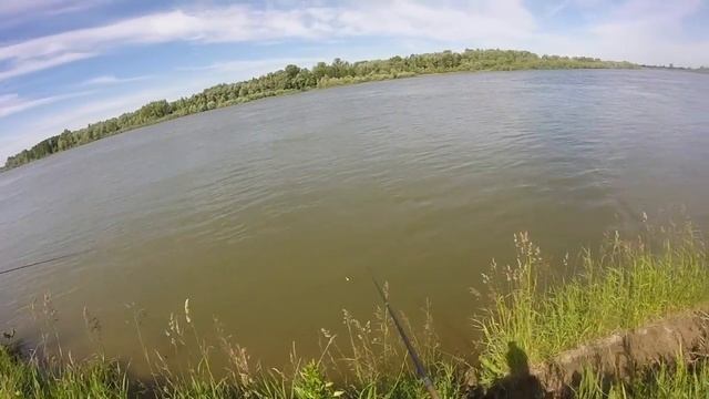 Рыбалка в День Рыбака! смотреть онлайн